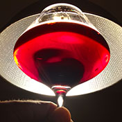 Alter & Go - Vineyard tours