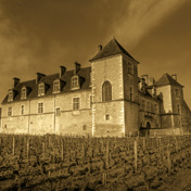 Bourgogne Gold Tour - Circuits dans le vignoble