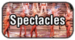 Dijon Agenda : les spectacles